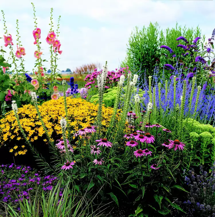 This Full-Sun Garden Plan Brings Color to Your Whole Yard